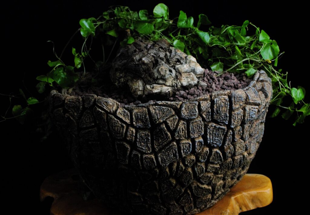 Le Ravi Pottery Ivaturi, Ravi | Northern Potters Association