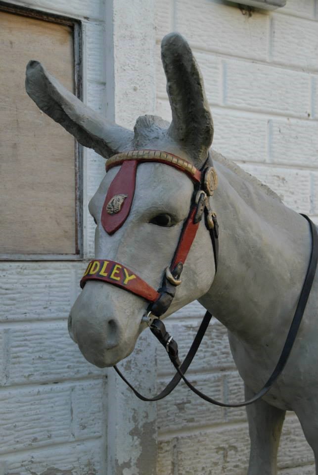 Dudley Donkey - Donnas Peterson